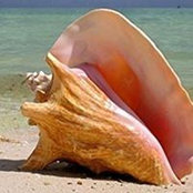 Valerie Barrera's photo