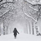 Nancy Mueller Brace's photo
