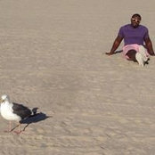 Brandon Navarro's photo