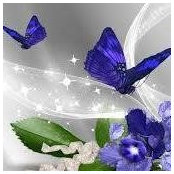 Oprea Laura's photo