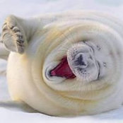Donna Yoder's photo