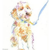 Mikel Nicolo's photo