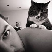 Photo de Bøb Fred