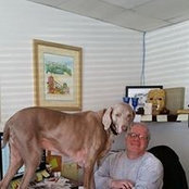 Gary Kopperman's photo