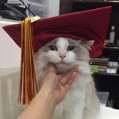 Shiyi Wang's photo