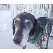 Robert Grant's photo