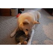 Ramona Clemente's photo