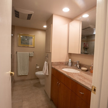 Contemporary Blue Mosaic Luxury Master Bathroom Remodel