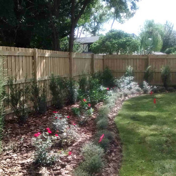 Carrollwood Versaille Roses & Hedges Back Border