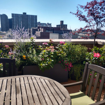 Lush Eclectic Rooftop Garden Harlem