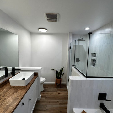 Master Bathroom Remodel