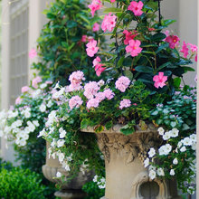Planters