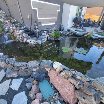 Custom✨ Koi Pond