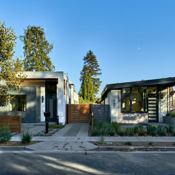 Palo Alto Contemporary III