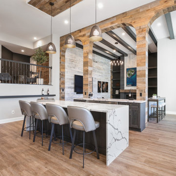 Modern Industrial Breath Taking Basement - Ashburn