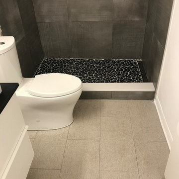 Ponte Vedra Bathtub Conversion