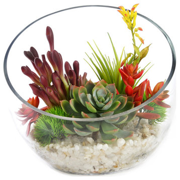Tropical Color Succulents in Clear Glass Slant Cut Bowl