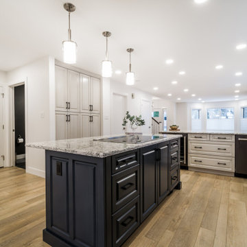 Cloverdale - Whole Home Renovation