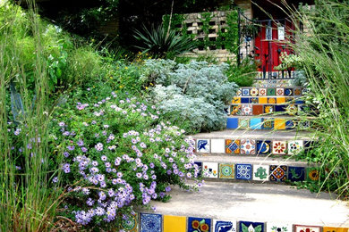This is an example of a traditional hillside landscaping in Austin.
