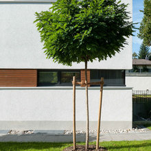 Außenfassade
