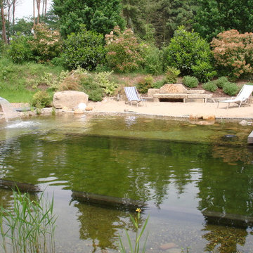 Schwimmteich / Büchen