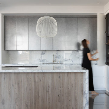 Manhattan Contemporary Kitchen