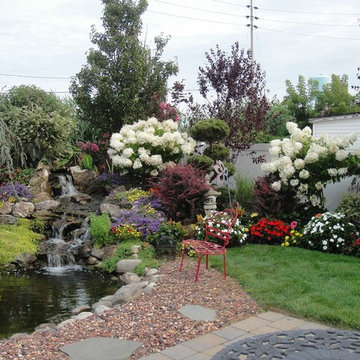 Backyard Oasis