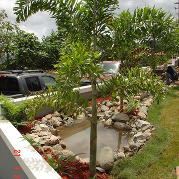 Biological Koi Ponds