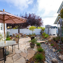 Landscape Ideas