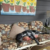 Elizabeth Corley's photo