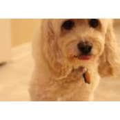 Kate Krischke's photo
