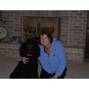 Sue Prister's photo