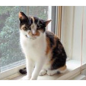 Beth McCleary's photo