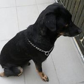 Kenneth Tai's photo