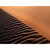Debbie Gloster's photo