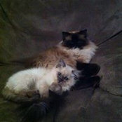 Mel Liddle's photo