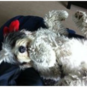 Derek Noonan's photo