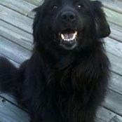 Lenore Tracey's photo