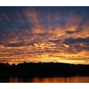 John Kuleisus's photo