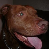 Derek Anderson's photo