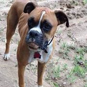 Lacey Martin's photo