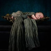 Chris Pitchford's photo