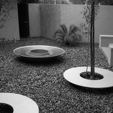 6_Tree Grate