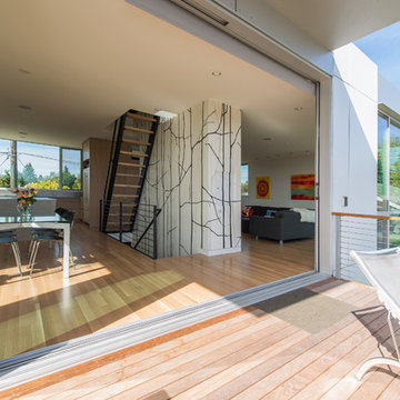Case Study House