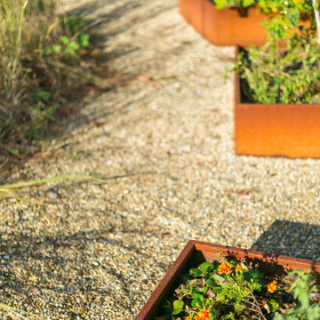 Modern Meadow Garden