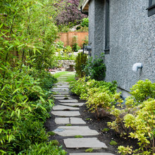 PLNT Landscape Inspo