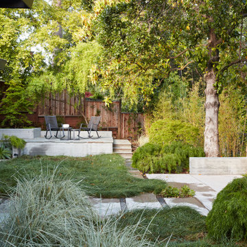 Los Gatos Garden