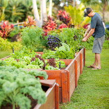 Gardens