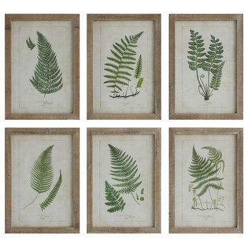 Wood Framed Wall Décor With Fern Fronds