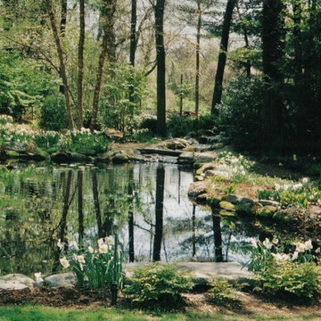 Pond in early Spring